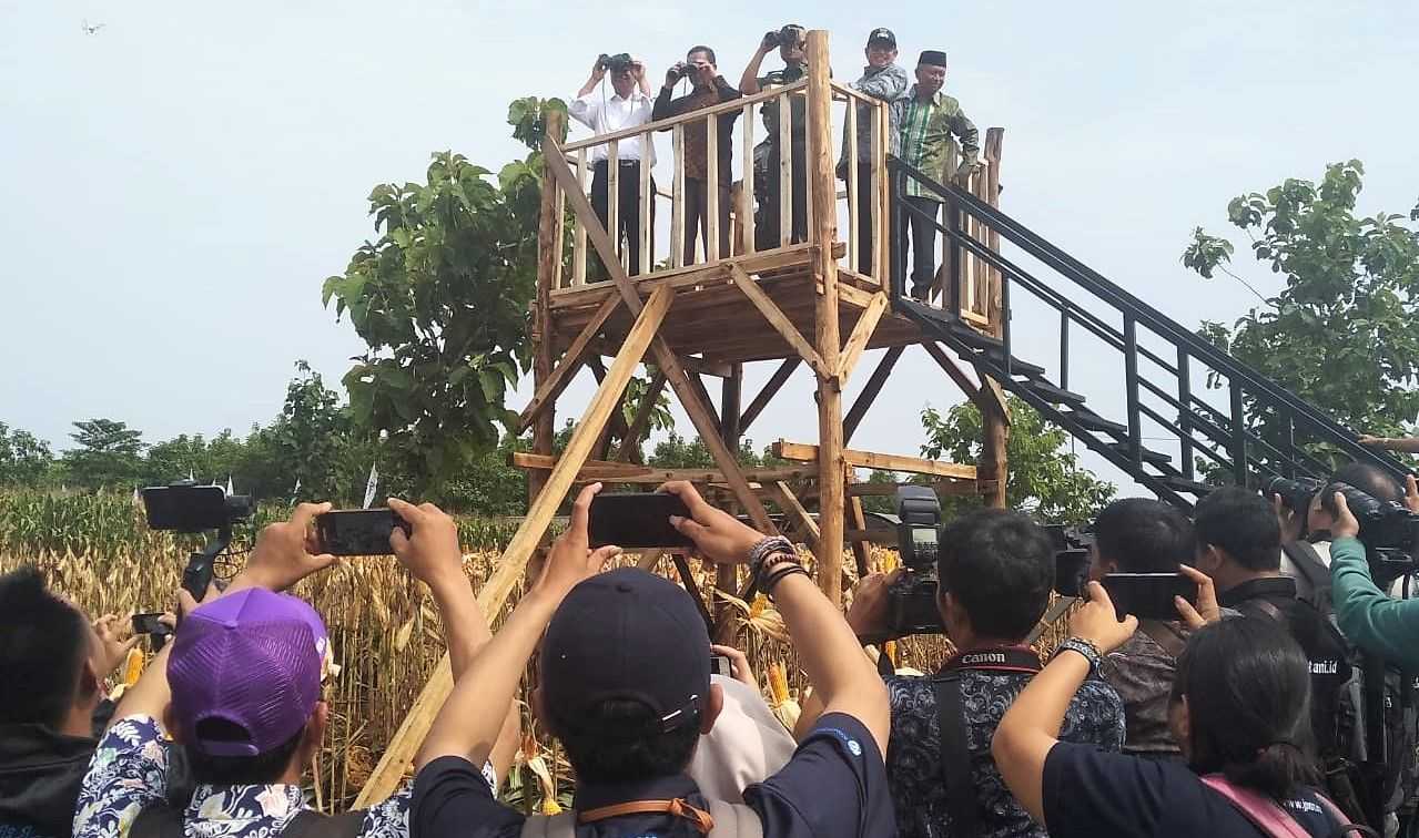 Waaster KSAD dan Menteri Pertanian Amran Sulaiman, Tinjau Lokasi Panen Raya di Tuban