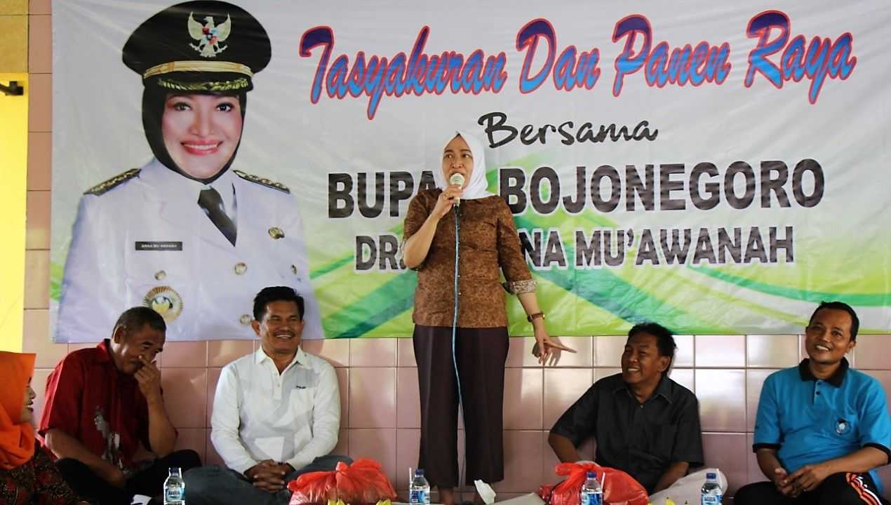 Tasyakuran dan Panen Raya di Glagahan, Sugihwaras. Bupati Bojonegoro Dukung Buat Penangkaran Bibit Padi Mandiri