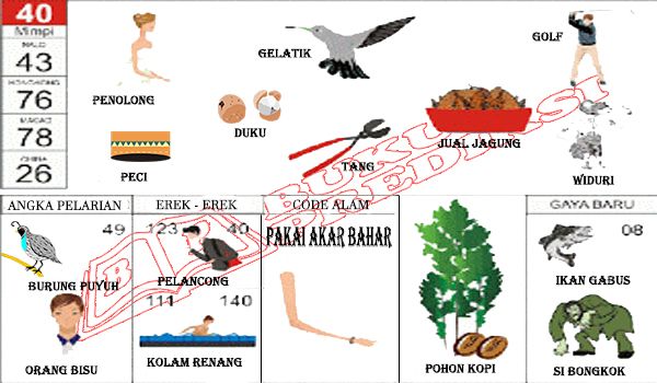 Arti Erek Erek Burung Rajawali di Buku Mimpi dan Kode Alam Ramalan Toto