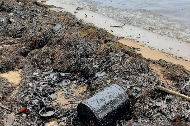 Nelayan Batam Khawatir Banyak Ikan Mati akibat Pantai Tercemar Limbah , Kabar Terkini