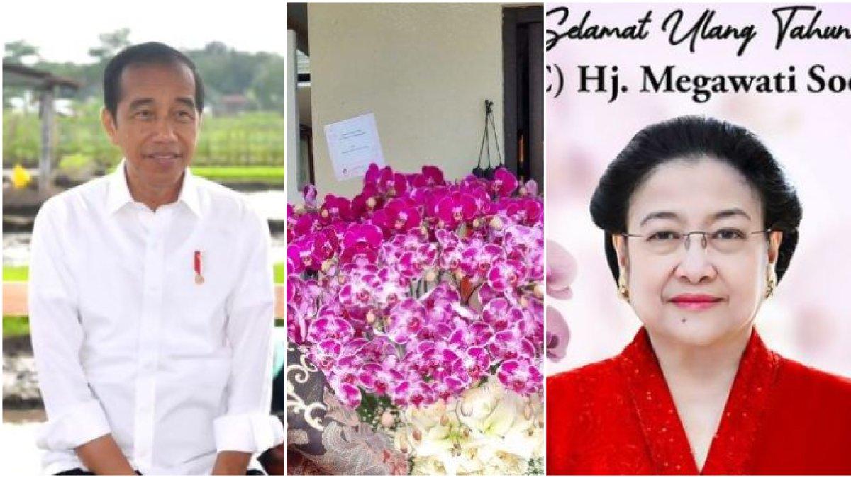 Potret ‘Kado’ Joko Widodo Di Ultah Megawati, Sang Presiden Kirim Buket Bunga Anggrek Ungu, Ini Ucapannya