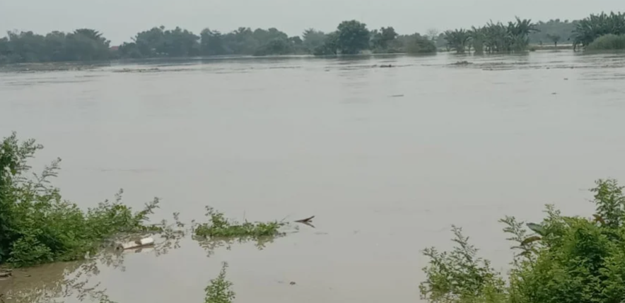 Bengawan Solo Kembali Meluap, Dua Kecamatan Di Lamongan Kembali Terendam Banjir