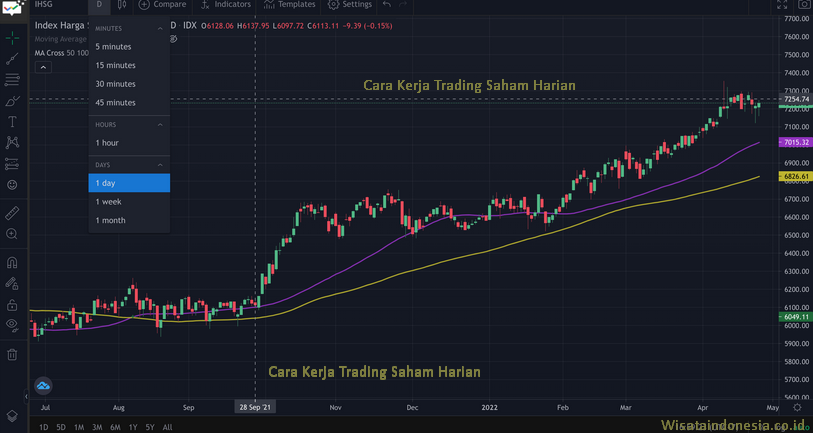 Mengarungi Samudra Volatilitas: Panduan Lengkap Day Trading Saham