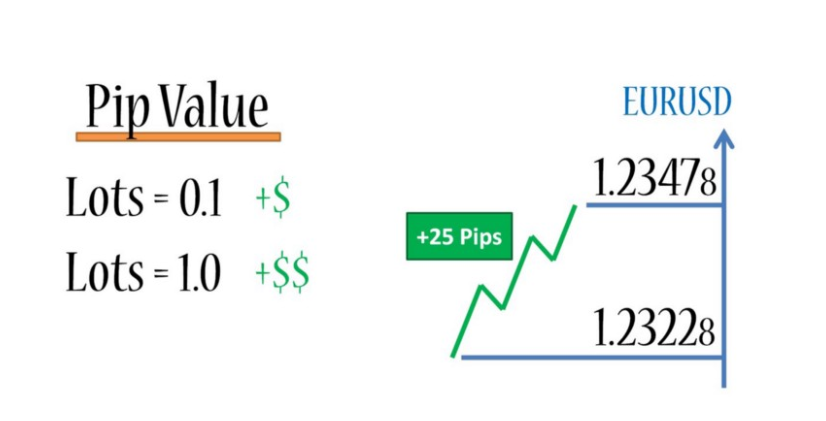 Pip dalam Trading: Fondasi Penting Perhitungan Profit & Risiko Anda
