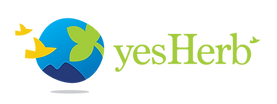 PT Yesherb Global Trade: Memimpin Revolusi Herbal dari Jantung Nusantara