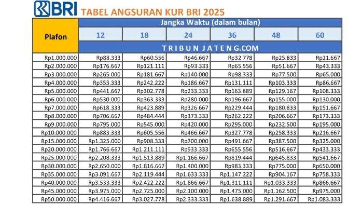 2,8 Juta UMKM Target Penerima KUR BRI Hingga September 2025, Simak Rincian Pengajuan dan Tabel Angsuran