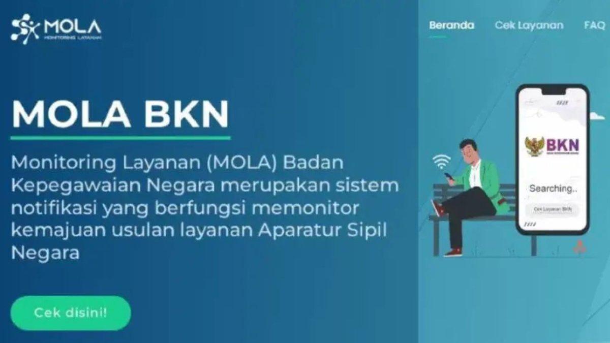 Panduan Lengkap: Cara Cek NIP PPPK Paruh Waktu 2025 Melalui Mola BKN dan Memahami Statusnya