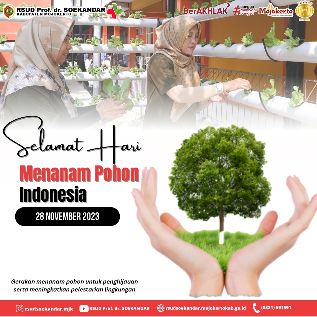 28 November: Lebih dari Sekadar Tanggal, Momen Penting untuk Bumi dan Imajinasi