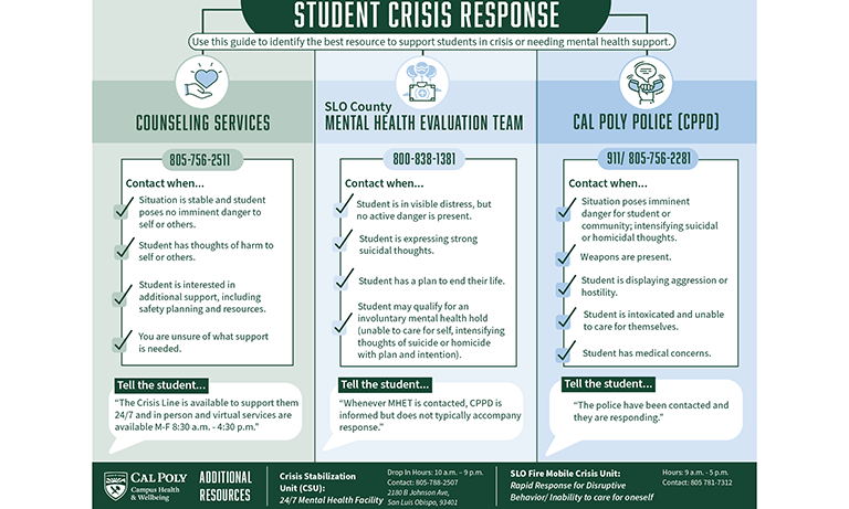College Station Council Tackles Mental Health Crisis Response Amidst Growing Demand