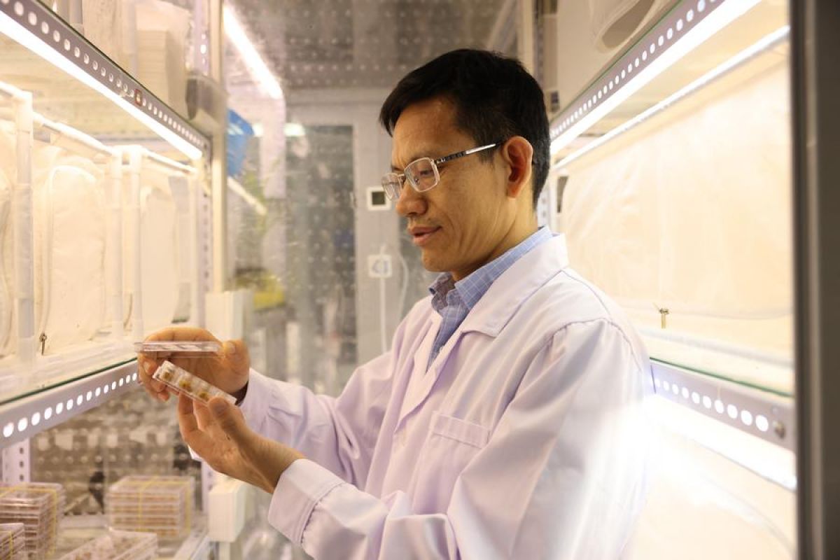 Ilmuwan China Luncurkan Revolusi Penyimpanan Data: Kaset DNA Mampu Simpan 362.000 TB dengan Daya Tahan Ribuan Tahun