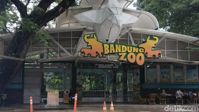 Bandung Zoo Tutup Selama Lebaran, Wali Kota Farhan Beri Bantuan Rp1 Juta untuk Karyawan