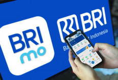 BRImo Tembus 45,9 Juta Pengguna di 2025, Dorong Transaksi Digital Rp7.057 Triliun dalam Transformasi Digital BRIVolution Reignite