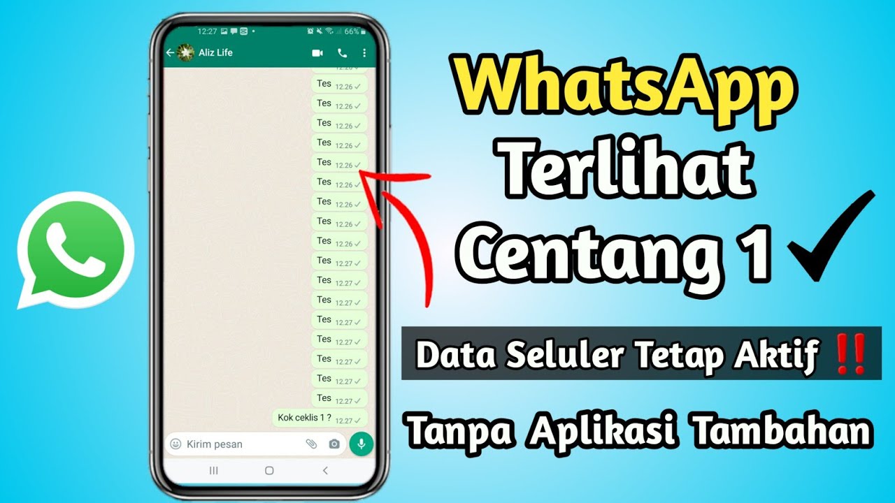 Cara Menonaktifkan WhatsApp agar Centang Satu dan Mengendalikan Privasi Digital Pengguna