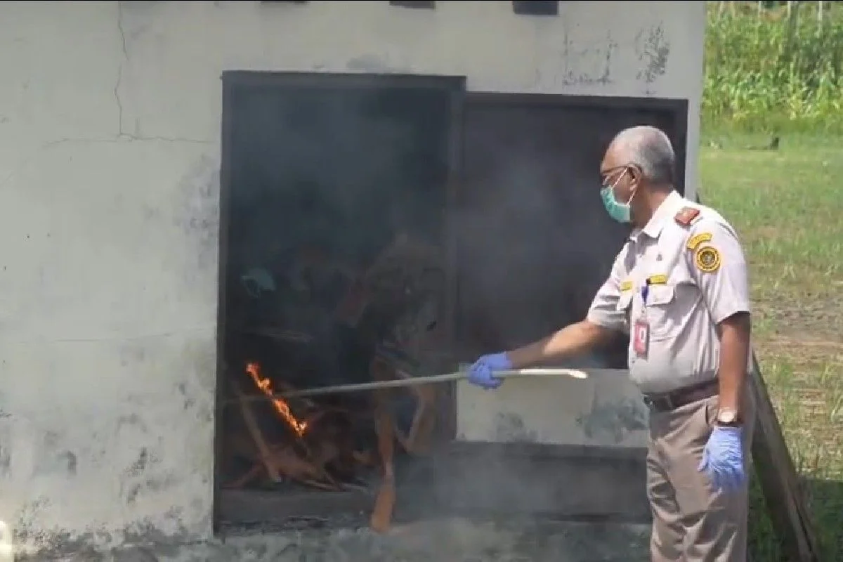 Karantina Papua Tolak 14 Ton Daging Ayam Surabaya: Apa Penyebab dan Dampaknya?