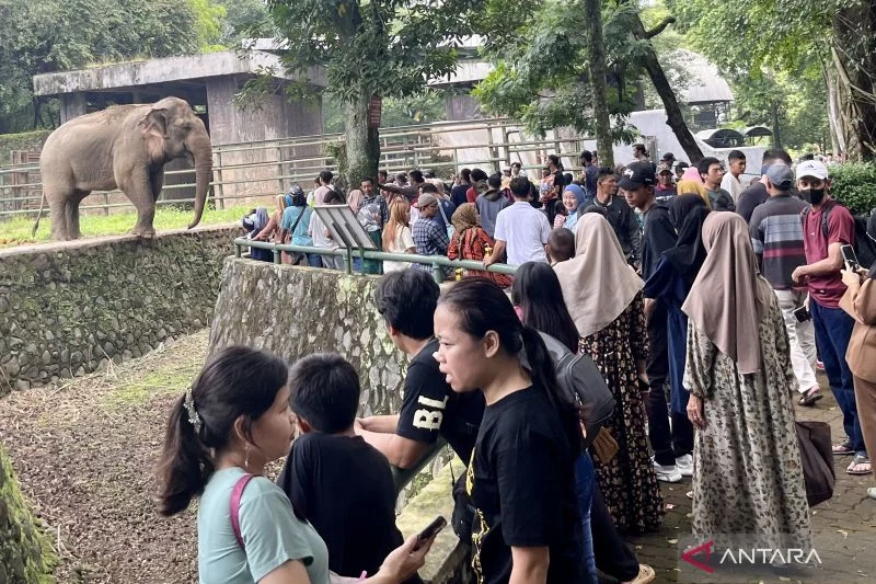 Lebaran di Ragunan 2026: Operasional H+1, Target 400 Ribu Pengunjung, dan Atraksi Spesial