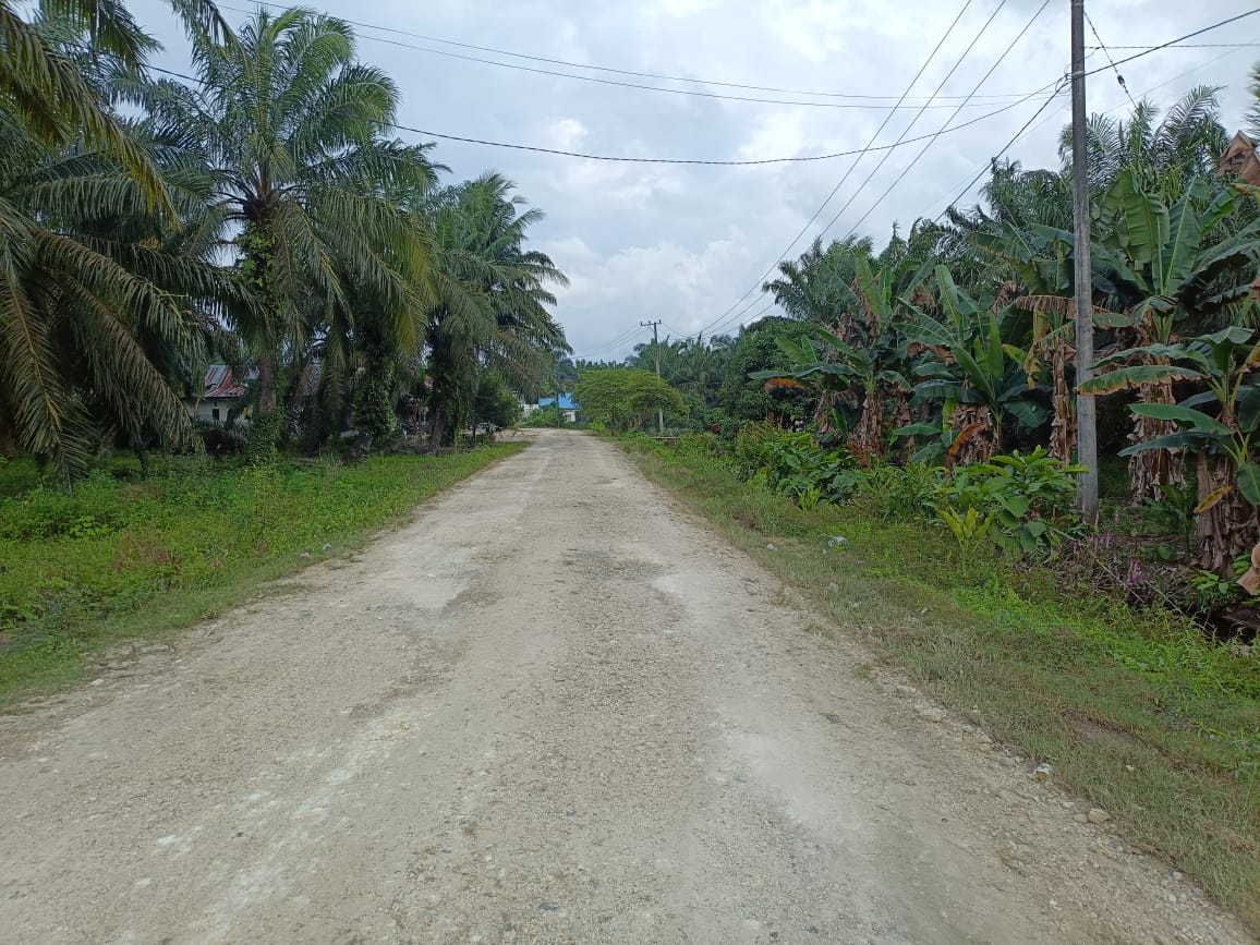 PT. Letawa Wujudkan Komitmen CSR: Perbaikan Jalan Desa Tikke Sepanjang 3 Kilometer Tingkatkan Mobilitas dan Kesejahteraan Warga Pasangkayu