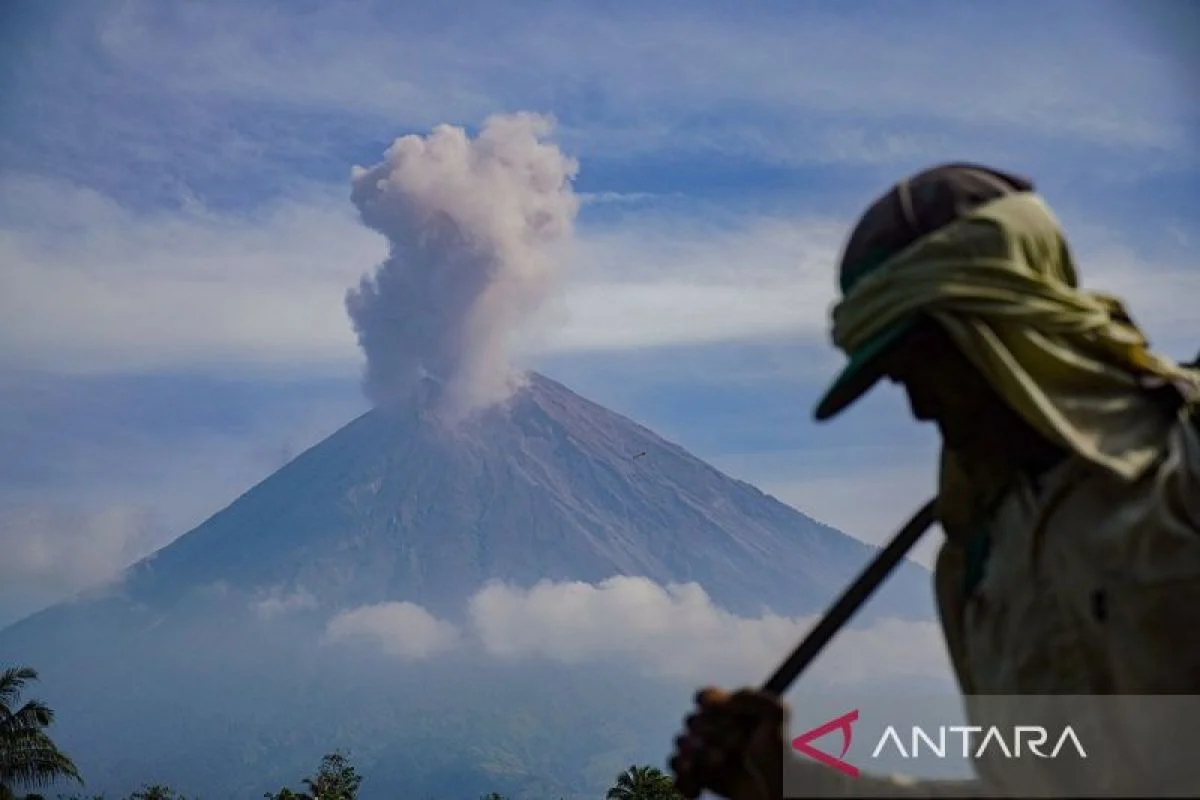 Semeru Mengguncang Jumat Pagi: Dua Letusan Tinggi 1.000 Meter, Warga Dilarang Masuk Radius 5 Km