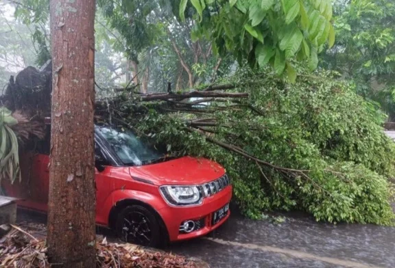 Badai Hujan di Bandung: Dari Tetesan Ringan hingga Pohon Tumbang, Warga Dihujani Ketidakpastian