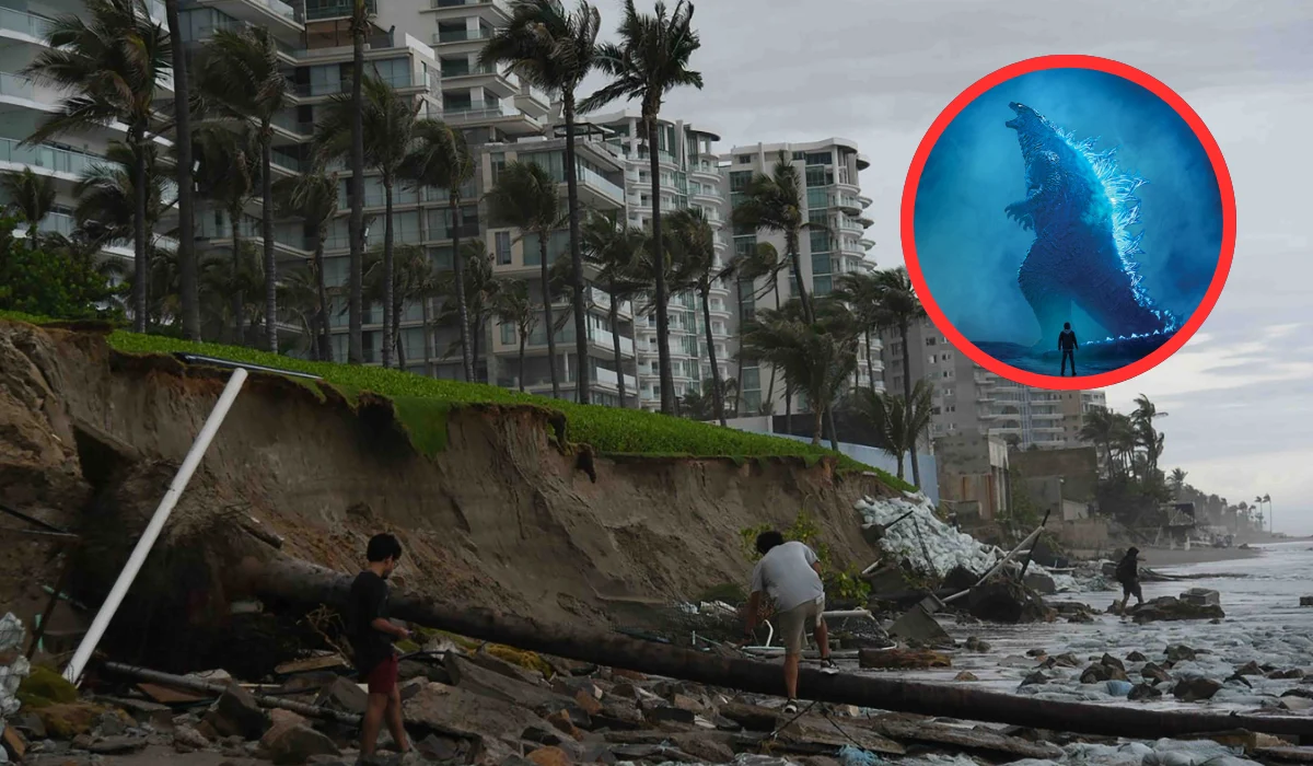 Godzilla El Niño Mengguncang Indonesia: Kemarau Panjang, Krisis Air, dan Ancaman Kebakaran Hutan