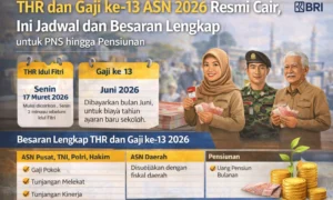 Bocoran Jadwal Gaji ke-13 ASN 2026: PNS, TNI, Polri, Pensiunan Siap-Siap Terima ‘Bonus’ Juni Nanti!